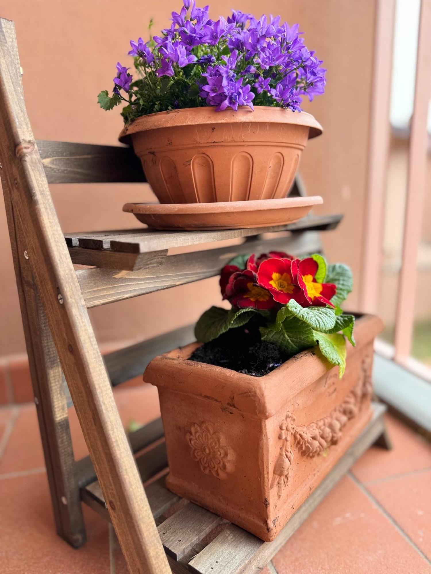 펠라고 Chianti House Garden - 30 Min Firenze Centro 아파트 외부 사진