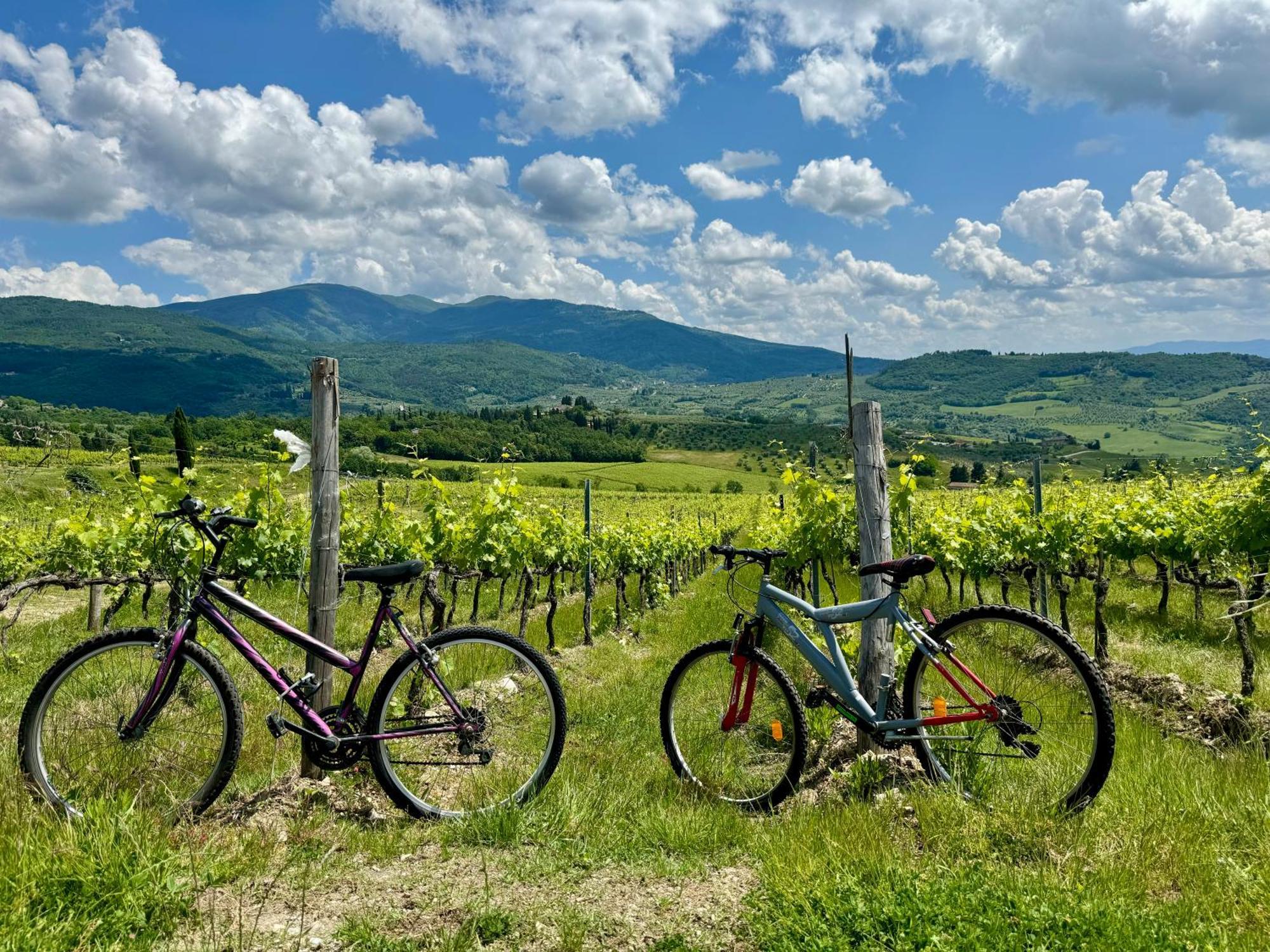 펠라고 Chianti House Garden - 30 Min Firenze Centro 아파트 외부 사진